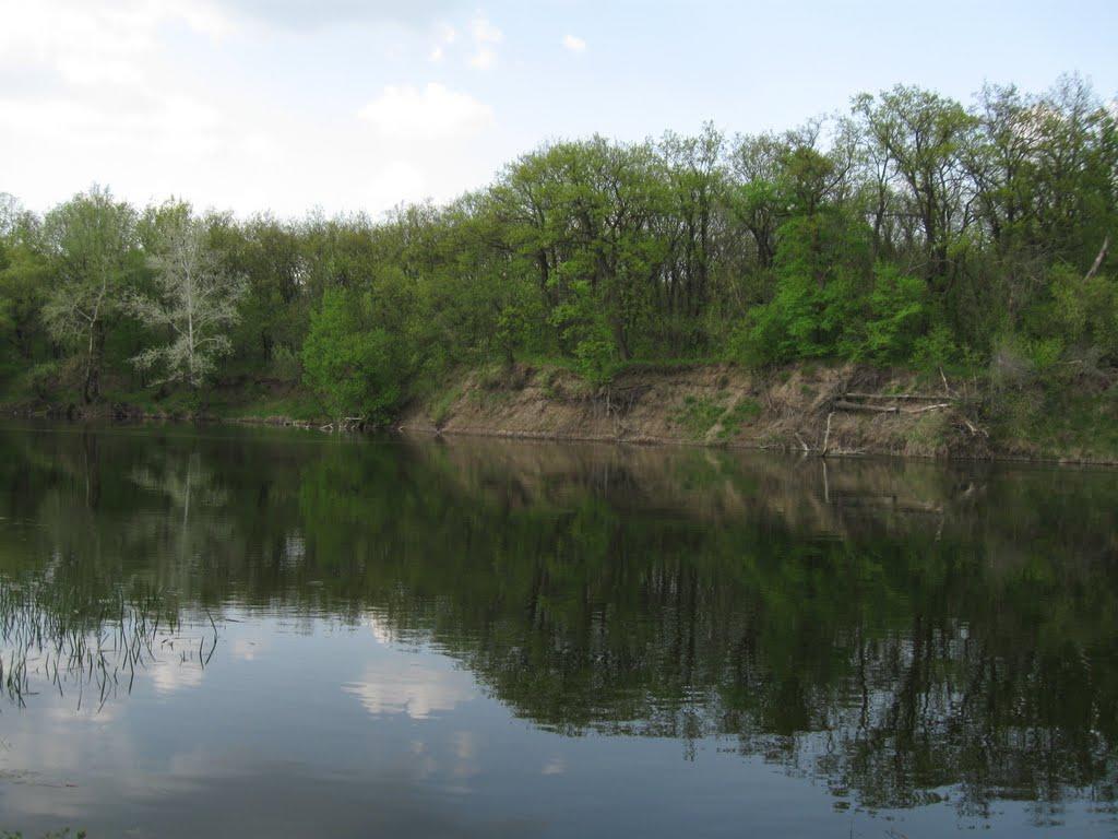 Пискунівка з panoramio.com - Пискунівка