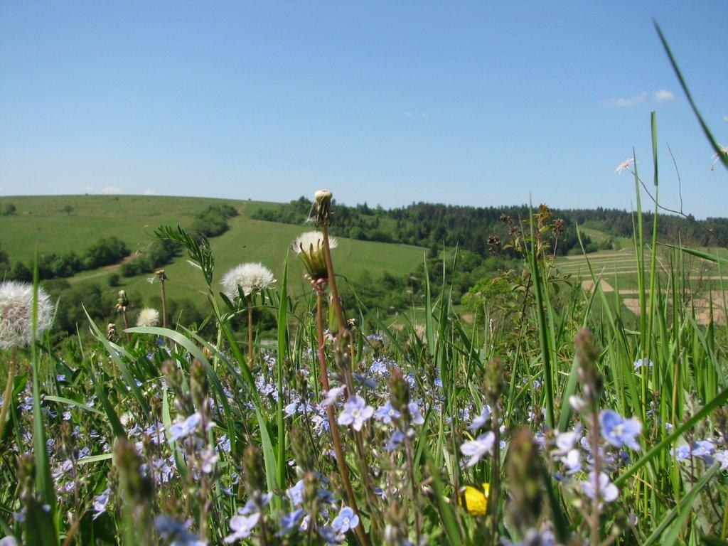 Катина з panoramio.com - Катина