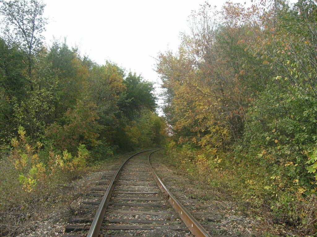 Лисичанськ з panoramio.com (ч.3) - Лисичанск