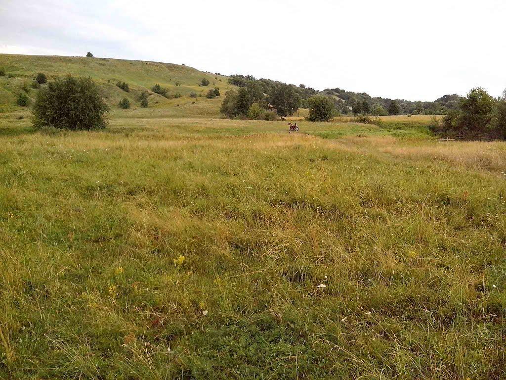 Устивиця з panoramio.com - Устивица