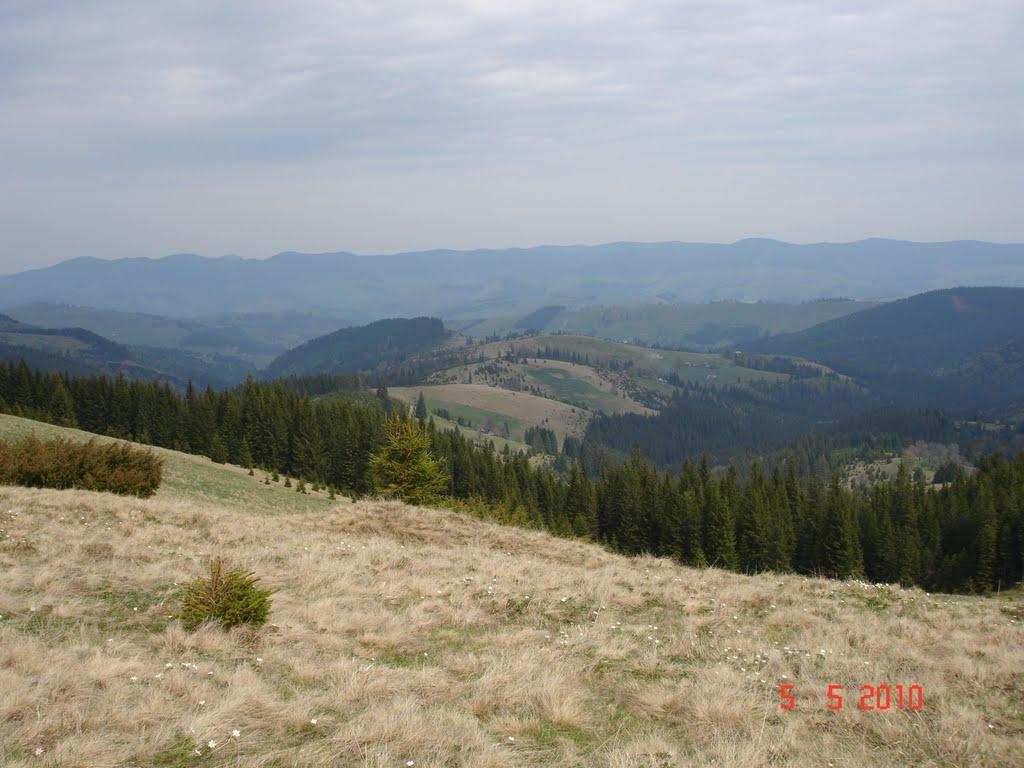 Випчина з panoramio.com - Випчина