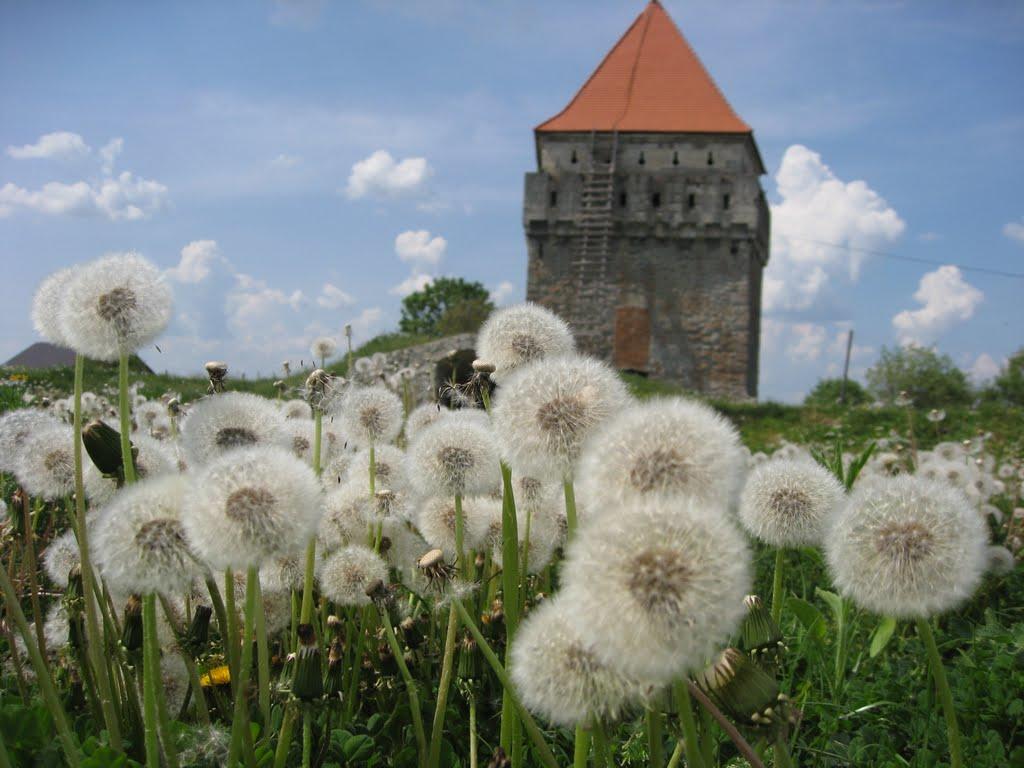Скалат з panoramio.com - Скалат