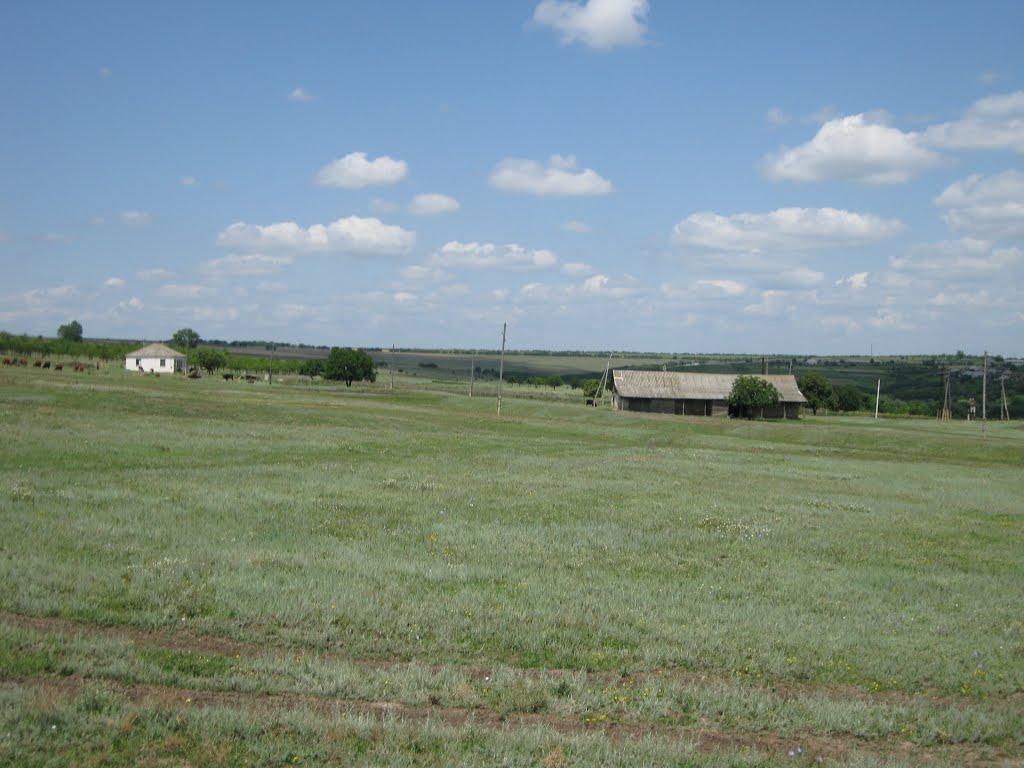 Лісне з panoramio.com - Лісне