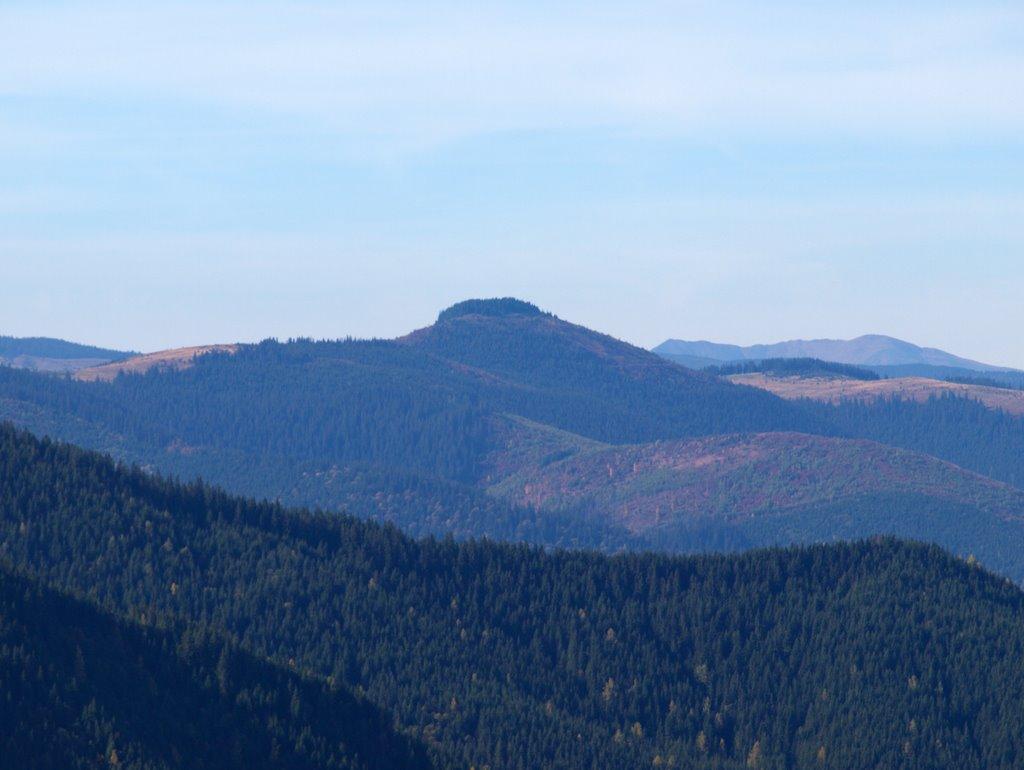 Випчина з panoramio.com - Випчина