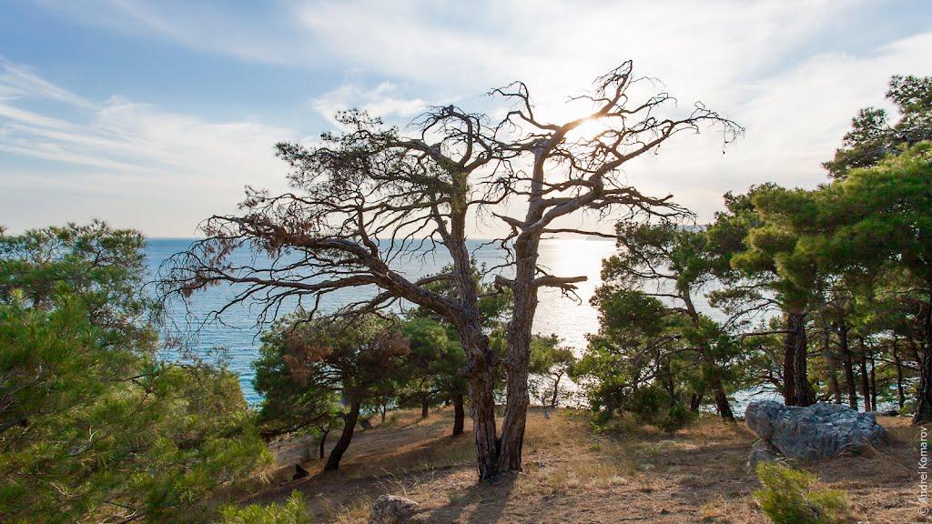 Резервне з panoramio.com (ч.4) - Резервное