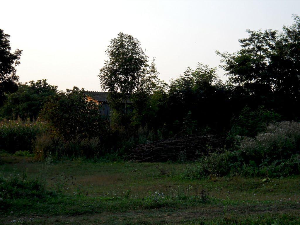 Козарівка з panoramio.com - Козарівка