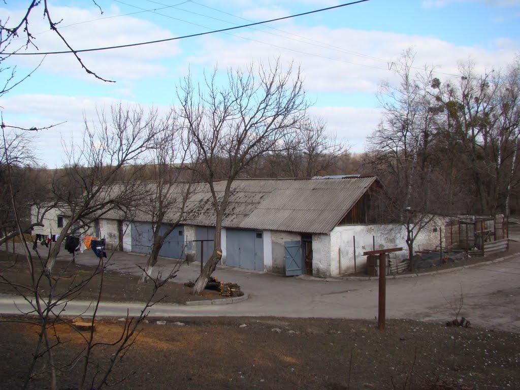 Косарі з panoramio.com (ч.2) - Косари