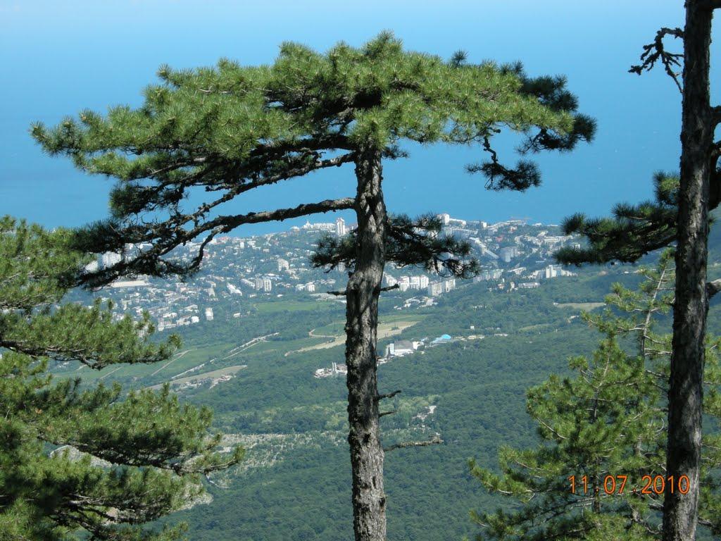 Високогірне з panoramio.com - Высокогорное