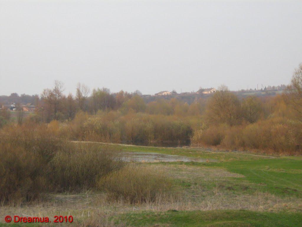 Черешенька з panoramio.com - Черешенька