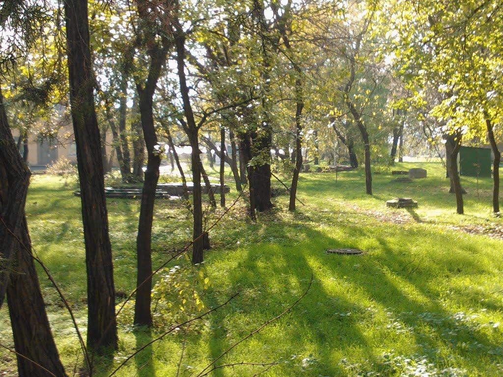 Корсунці з panoramio.com - Корсунцы