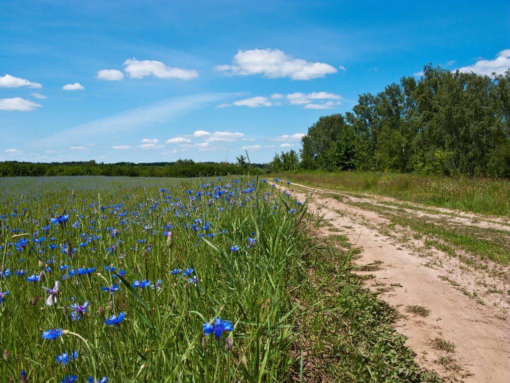 Студенець з panoramio.com - Студанец