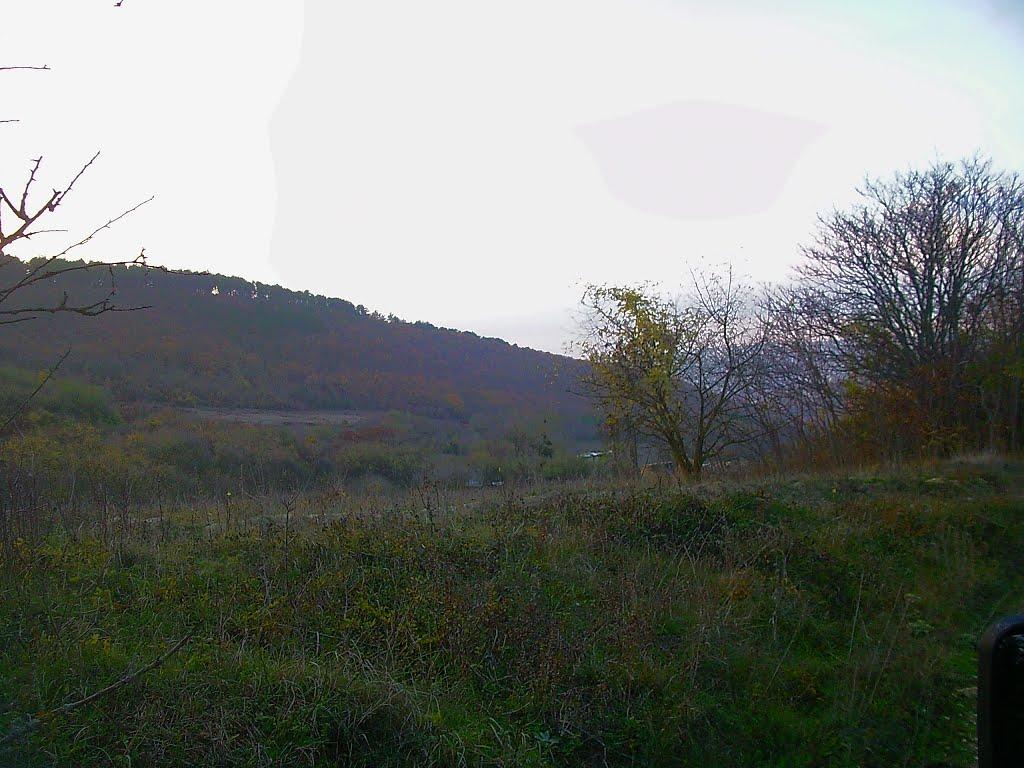 Високе з panoramio.com - Высокое