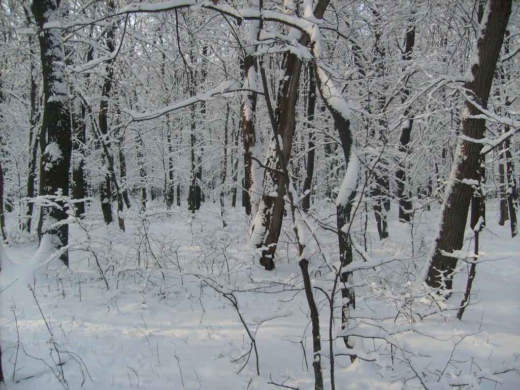 Знам'янка з panoramio.com - Знам'янка