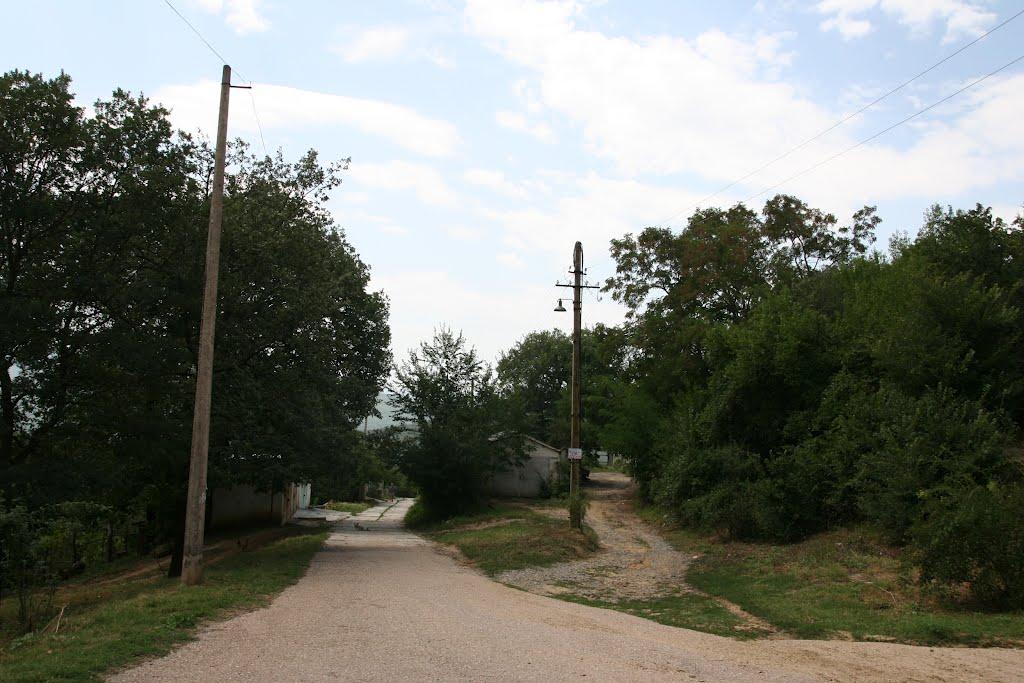 Научний з panoramio.com - Научний
