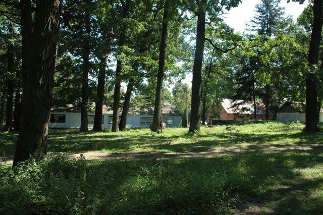 Виноградівка з panoramio.com - Виноградівка