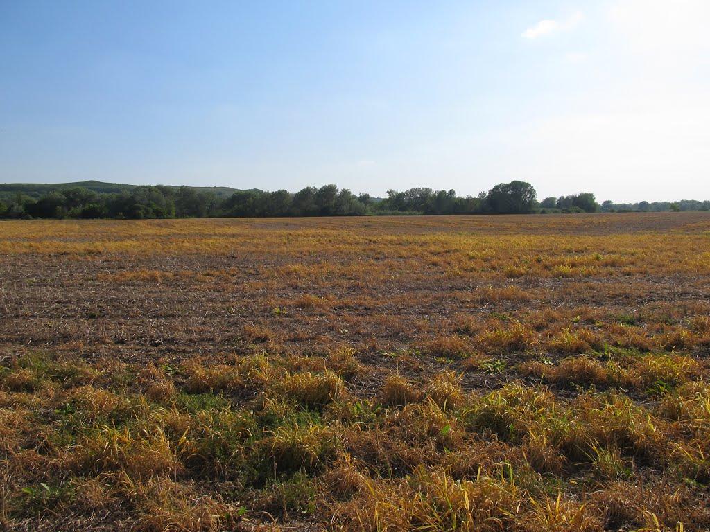 Ямпіль з panoramio.com - Ямполь