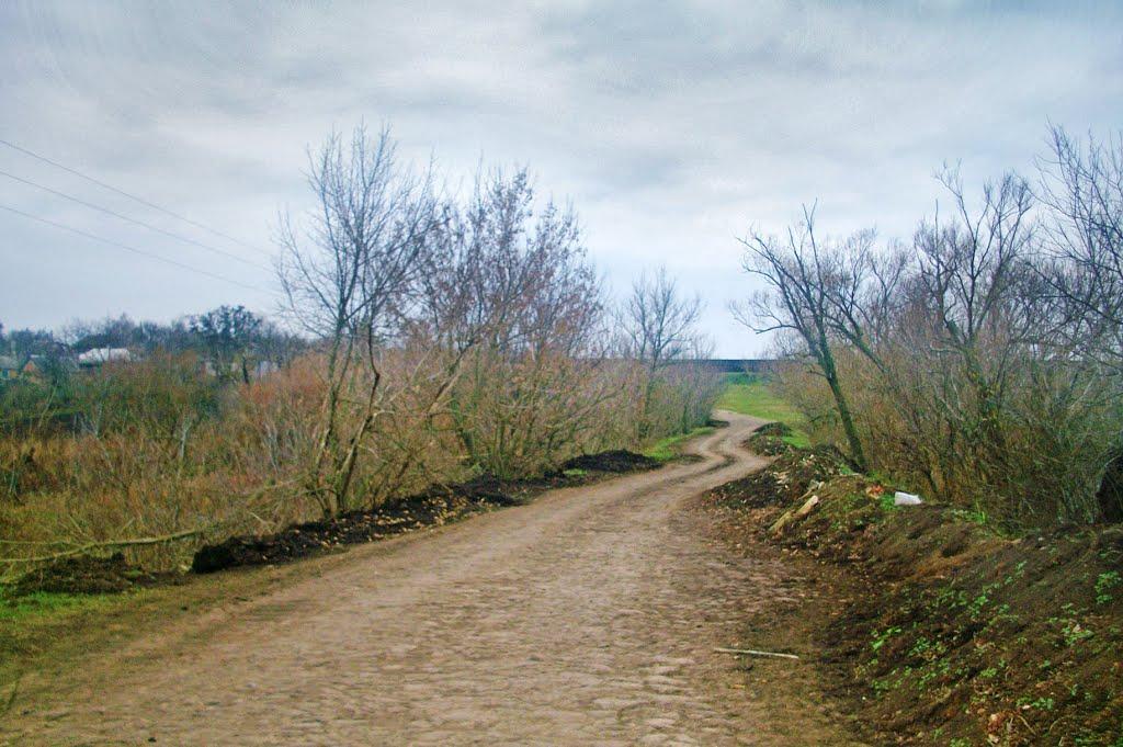 Тернова Балка з panoramio.com - Терновая Балка