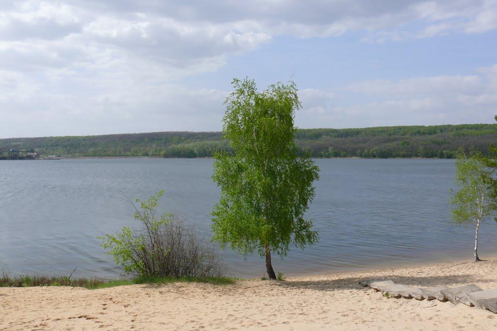 Яцьківка з panoramio.com - Яцьківка