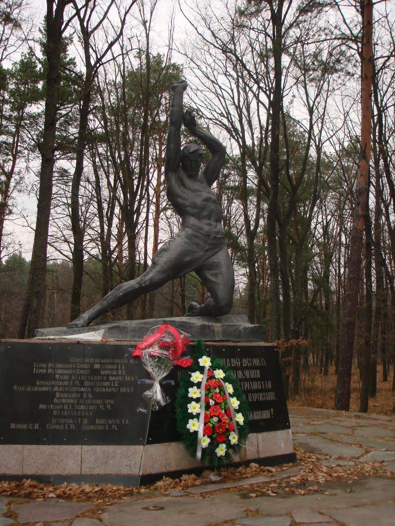 Довжик з panoramio.com - Довжик