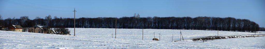 Козівка з panoramio.com - Козівка