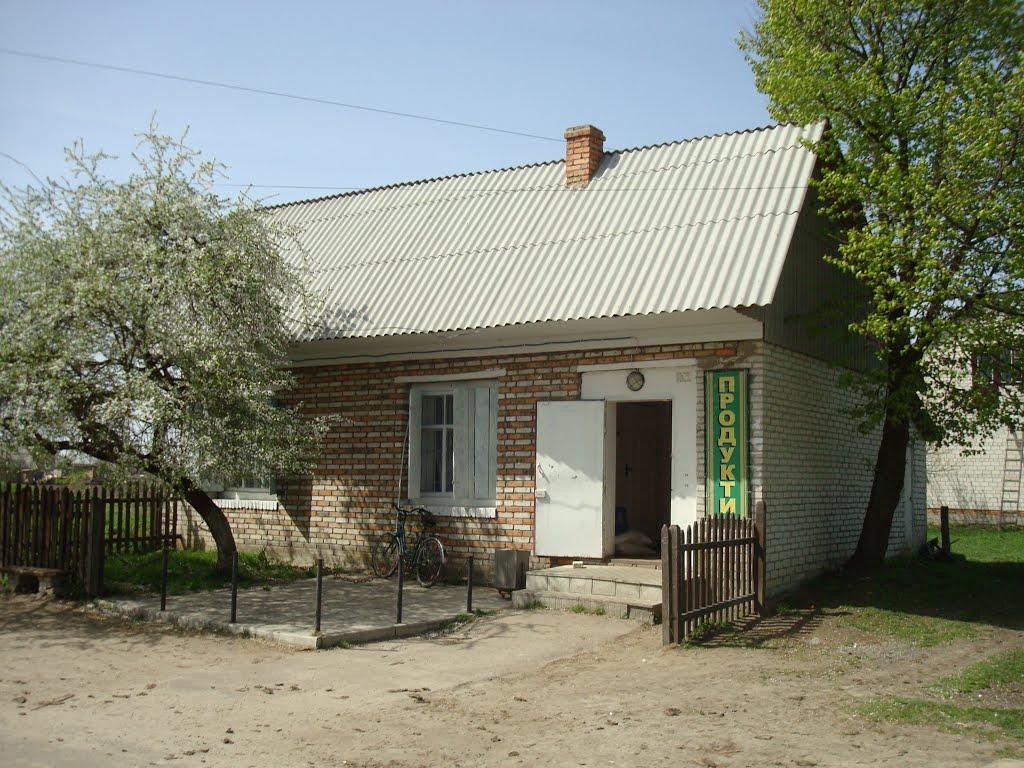 Дроздні з panoramio.com - Дроздні