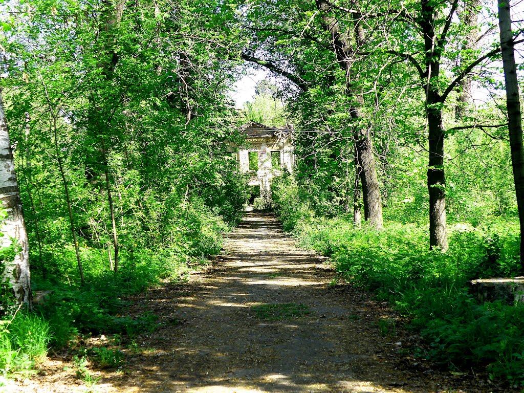 Селезнівка з panoramio.com - Селезнівка