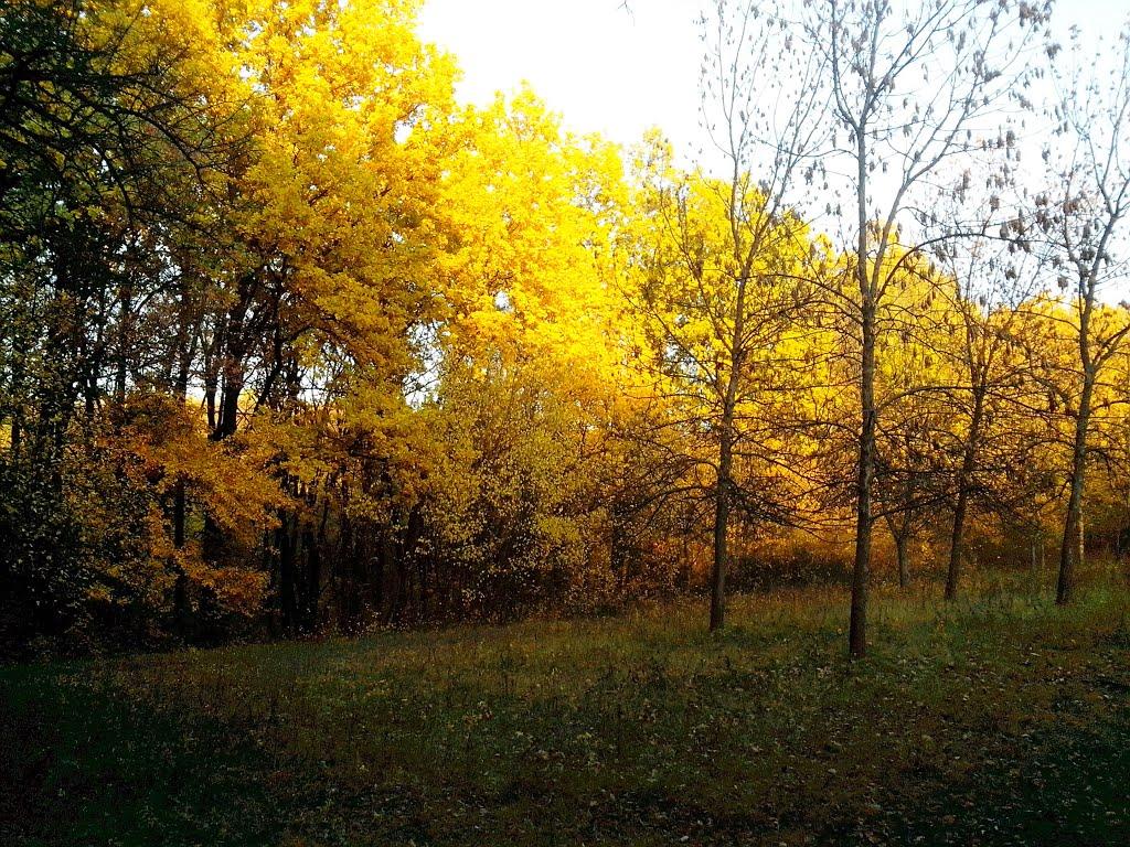 Лисичанськ з panoramio.com (ч.3) - Lysychansk