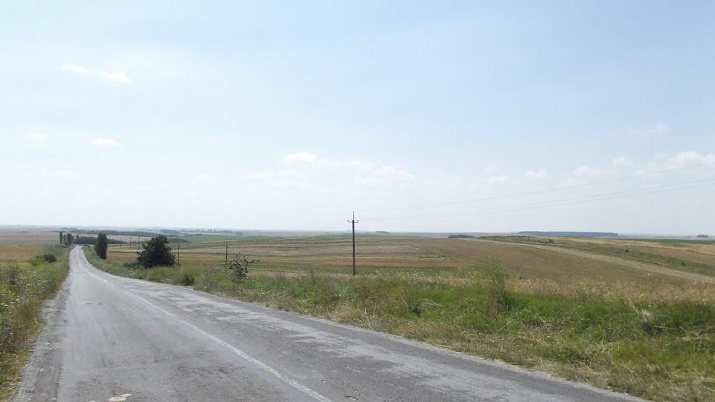 Торчин з panoramio.com - Торчин