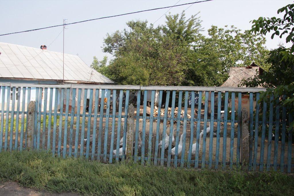 Вапнярка з panoramio.com - Вапнярка