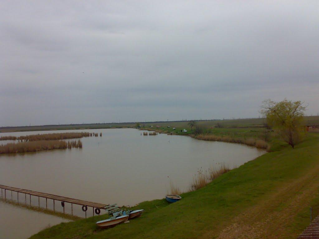 Новостепове з panoramio.com - Новостепове