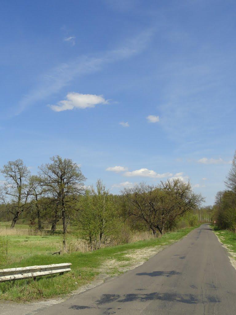 Берестяне з panoramio.com - Берестяне