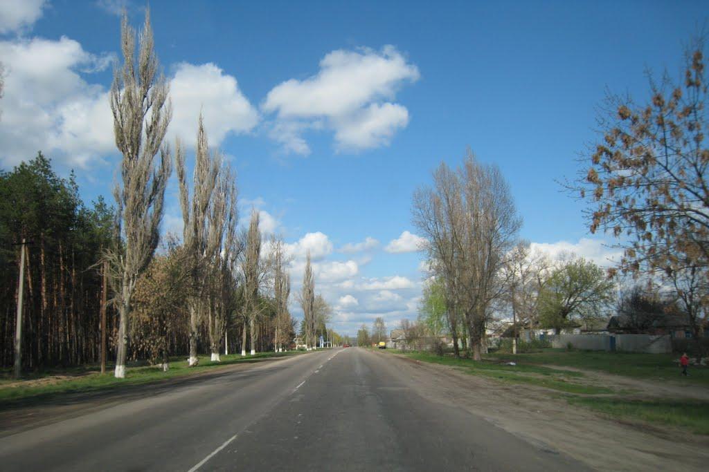 Новопсков з panoramio.com - Новопсков