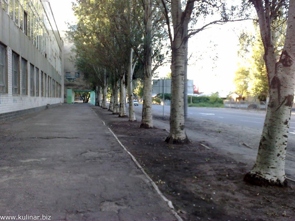 Мелітополь з panoramio.com (ч.2) - Мелитополь