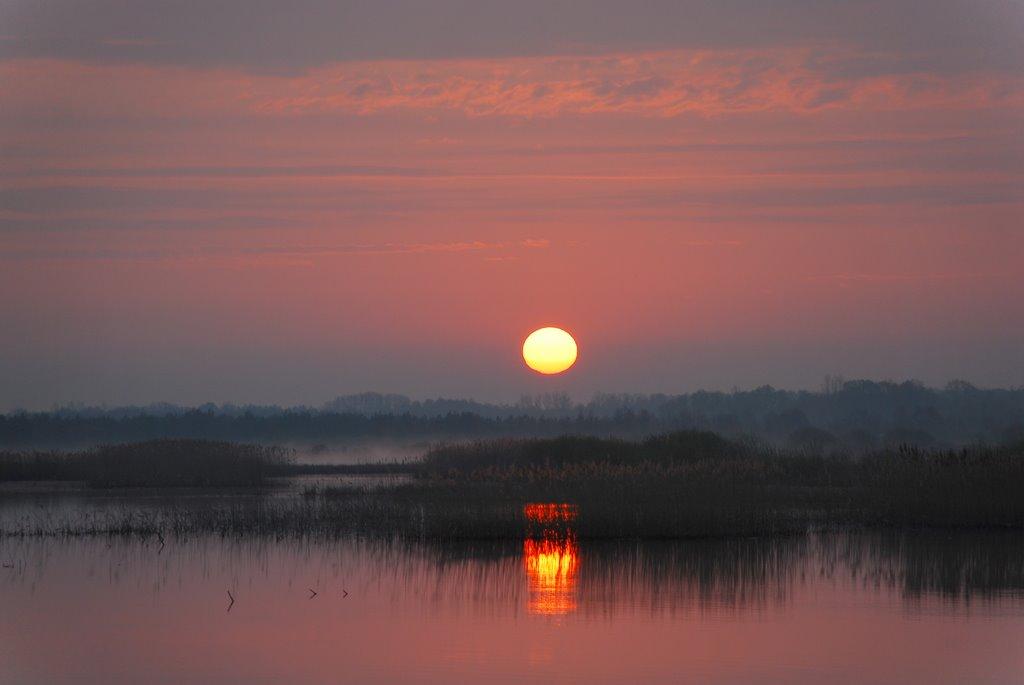 Дорошівка з panoramio.com - Doroshivka