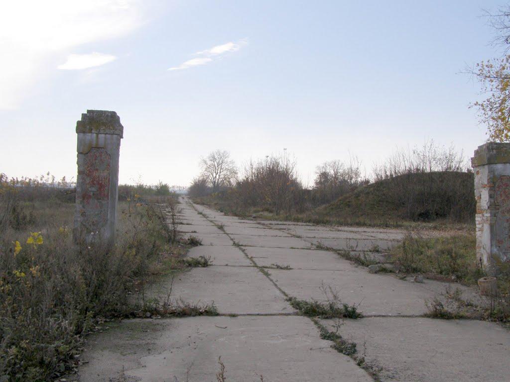 Сухоліси з panoramio.com - Sukholisy