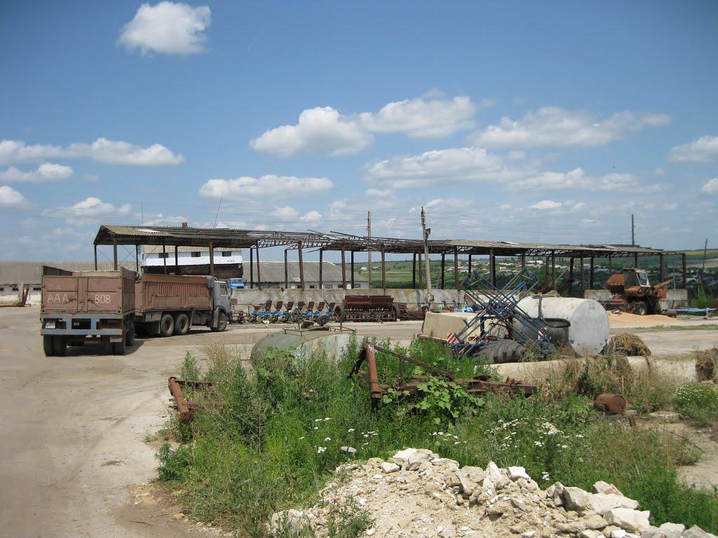 Лісне з panoramio.com - Лісне