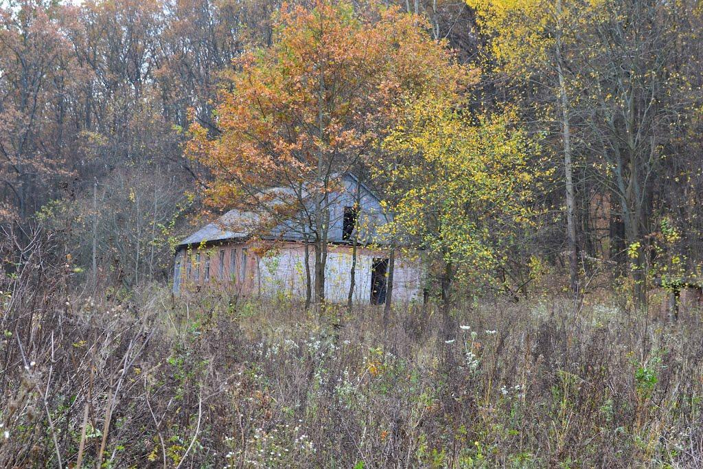 Мохнач з panoramio.com - Мохнач