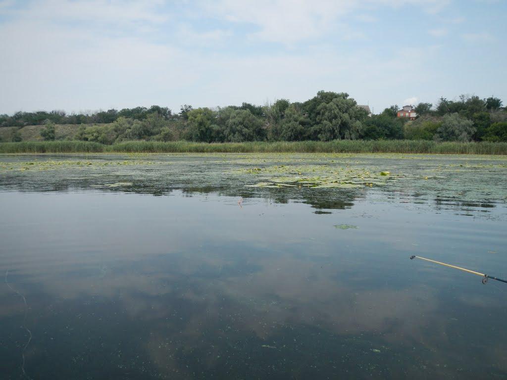 Лисогірка з panoramio.com - Лисогорка