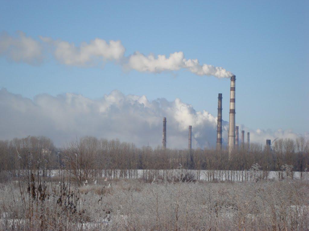 Кам'яне Поле з panoramio.com - Каменное Поле