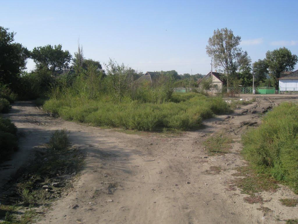 Березине з panoramio.com - Березино