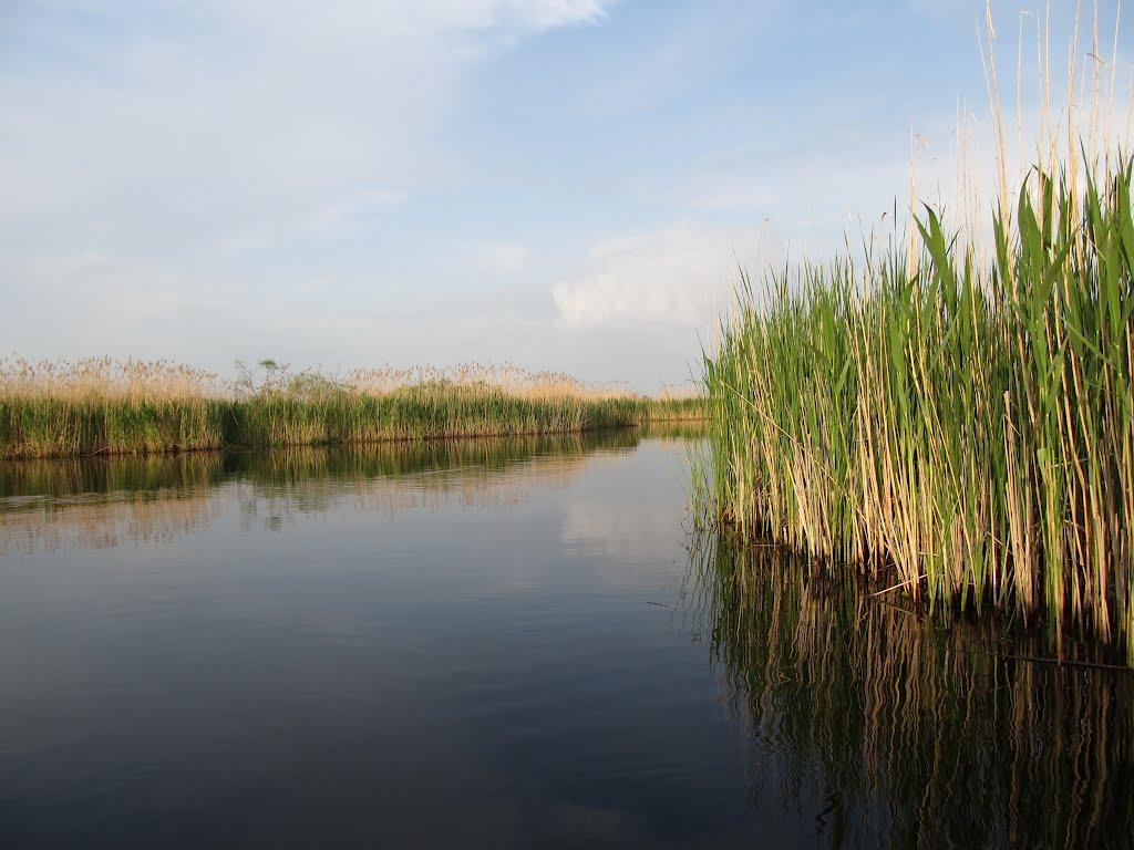 Сваловичі з panoramio.com - Сваловичи