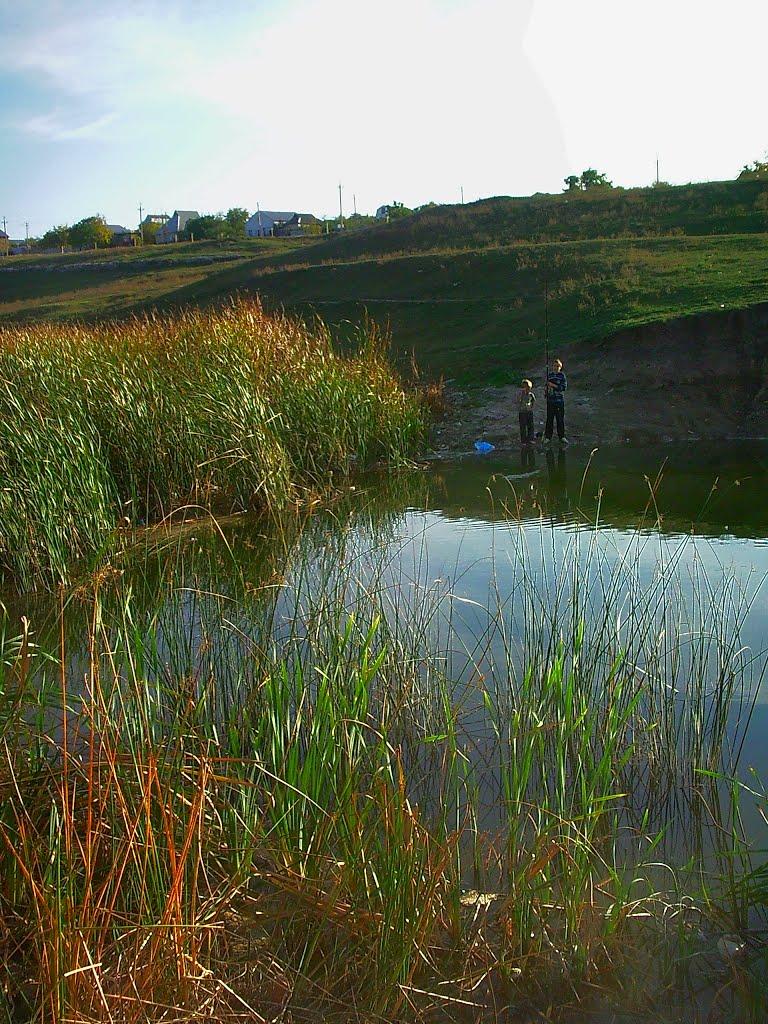 Трудове з panoramio.com - Трудове