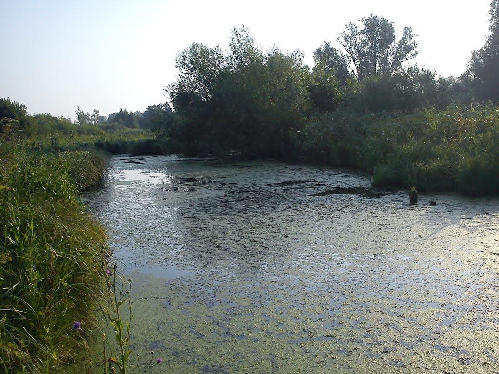 Долинівка з panoramio.com - Долиновка
