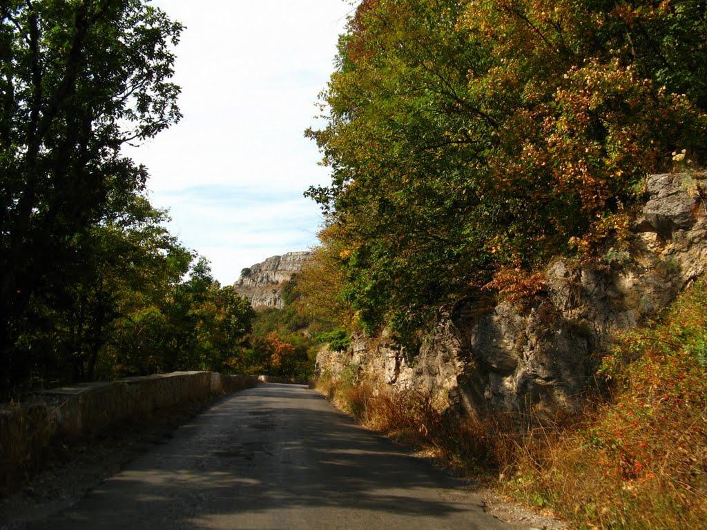 Охотниче з panoramio.com (ч.3) - Okhotnyche