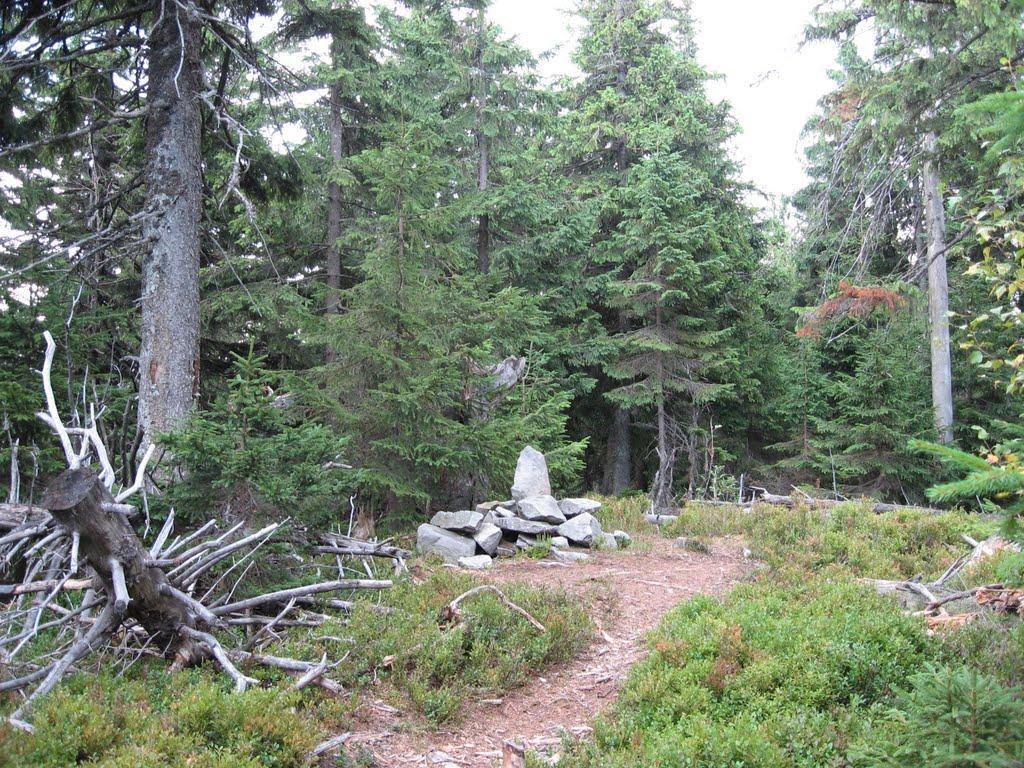 Мислівка з panoramio.com - Мислівка