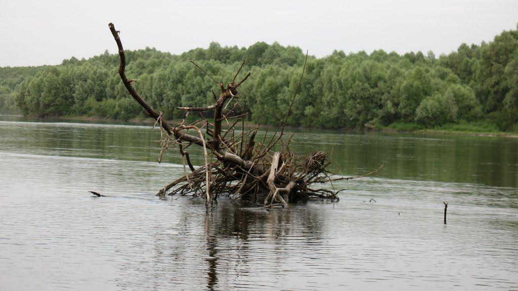 Макошине з panoramio.com - Макошине