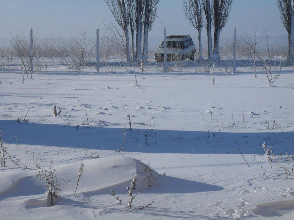 Світле з panoramio.com - Світле