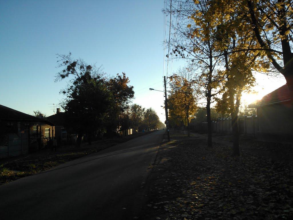 Покотилівка з panoramio.com - Покотилівка