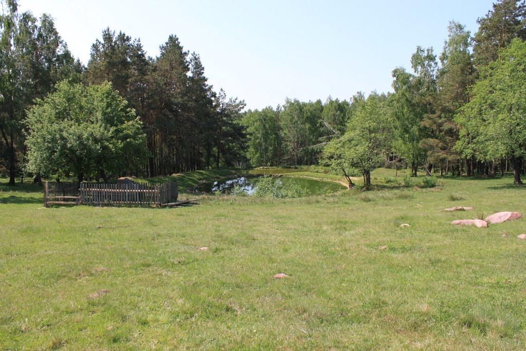 Задорожок з panoramio.com - Задорожок