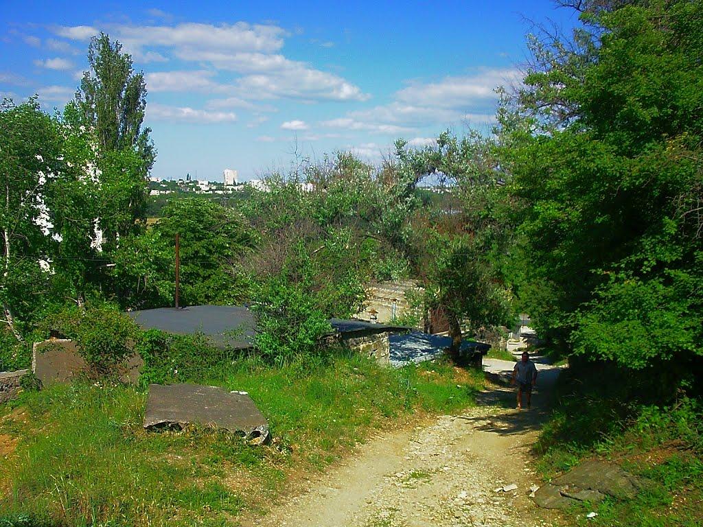 Молодіжне з panoramio.com - Молодіжне